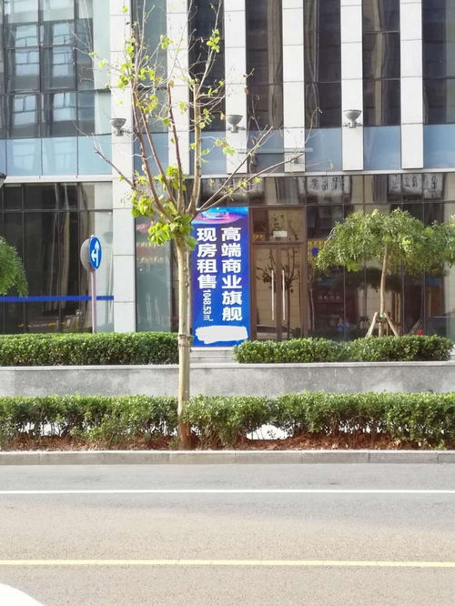 企业一站式服务指南 从快速注册到专业财税管理