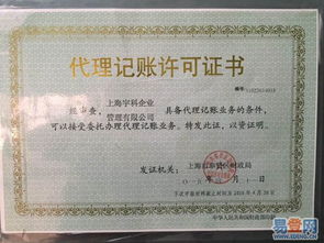 浦东三林易登网 一站式代理记账服务，助力企业无忧运营