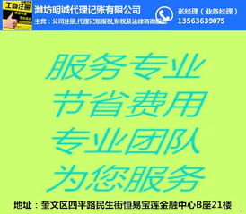 奎文明诚 潍坊代理会计专业记账服务详解